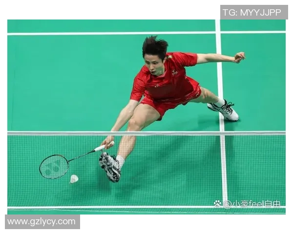 成都羽毛球队与西安羽毛球队速度对决赛后分析与总结