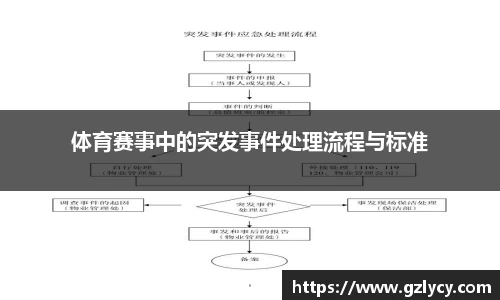 体育赛事中的突发事件处理流程与标准